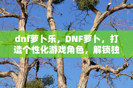 dnf萝卜乐,DNF萝卜,打造个性化游戏角色,解锁独特体验 dnf萝卜乐,DNF萝卜,打造个性化游戏角色,解锁独特体验