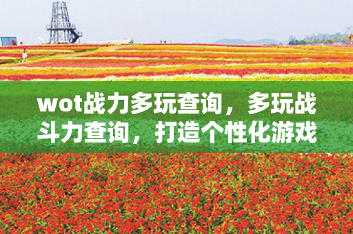 wot战力多玩查询,多玩战斗力查询,打造个性化游戏角色,提升战斗力的秘密武器 wot战力多玩查询,多玩战斗力查询,打造个性化游戏角色,提升战斗力的秘密武器