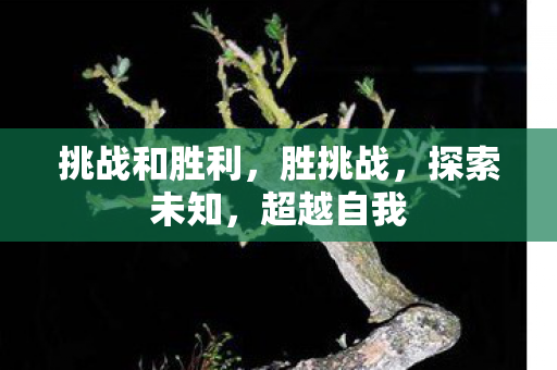 挑战和胜利，胜挑战，探索未知，超越自我