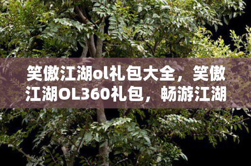 笑傲江湖ol礼包大全，笑傲江湖OL360礼包，畅游江湖的必备神器