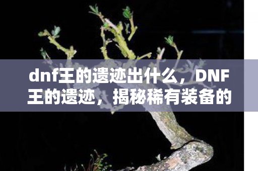 dnf王的遗迹出什么,DNF王的遗迹,揭秘稀有装备的神秘掉落 dnf王的遗迹出什么,DNF王的遗迹,揭秘稀有装备的神秘掉落