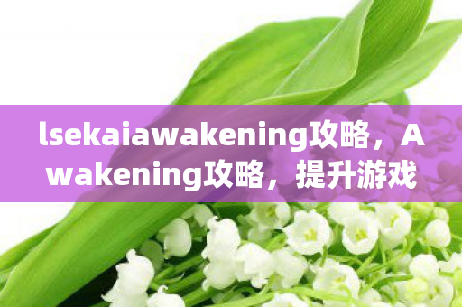 lsekaiawakening攻略，Awakening攻略，提升游戏角色战斗力的全面指南