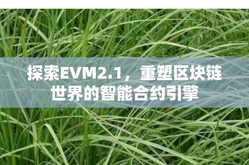 探索EVM2.1，重塑区块链世界的智能合约引擎