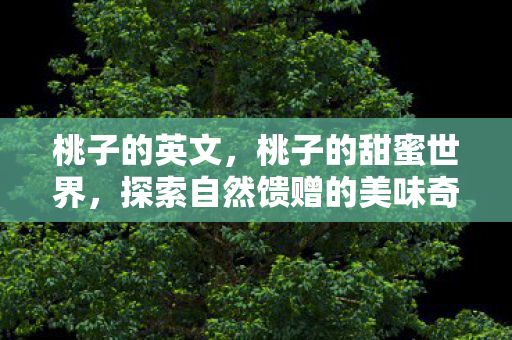 桃子的英文,桃子的甜蜜世界,探索自然馈赠的美味奇迹 桃子的英文,桃子的甜蜜世界,探索自然馈赠的美味奇迹