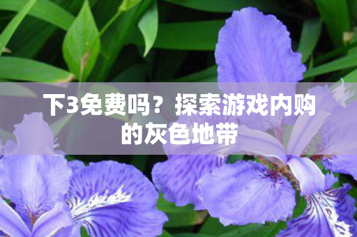 下3免费吗?探索游戏内购的灰色地带 下3免费吗?探索游戏内购的灰色地带
