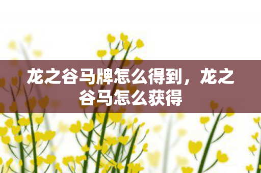 龙之谷马牌怎么得到,龙之谷马怎么获得 龙之谷马牌怎么得到,龙之谷马怎么获得