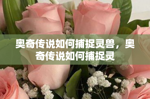 奥奇传说如何捕捉灵兽,奥奇传说如何捕捉灵 奥奇传说如何捕捉灵兽,奥奇传说如何捕捉灵
