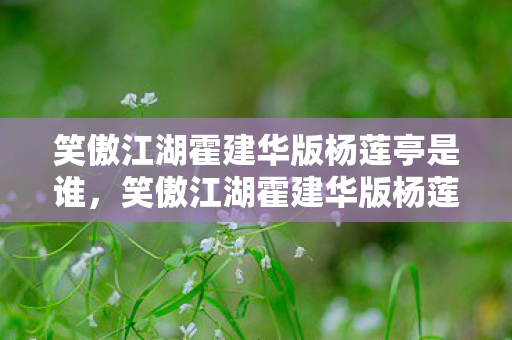 笑傲江湖霍建华版杨莲亭是谁,笑傲江湖霍建华版杨莲亭,深情厚谊的魔教副教主 笑傲江湖霍建华版杨莲亭是谁,笑傲江湖霍建华版杨莲亭,深情厚谊的魔教副教主