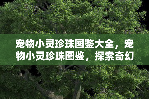 宠物小灵珍珠图鉴大全,宠物小灵珍珠图鉴,探索奇幻世界的璀璨明珠 宠物小灵珍珠图鉴大全,宠物小灵珍珠图鉴,探索奇幻世界的璀璨明珠