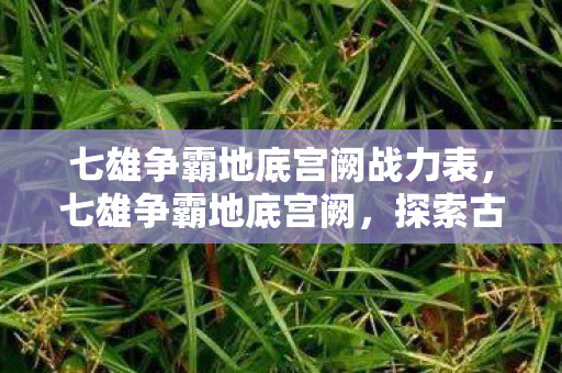 七雄争霸地底宫阙战力表,七雄争霸地底宫阙,探索古老遗迹的奇幻之旅 七雄争霸地底宫阙战力表,七雄争霸地底宫阙,探索古老遗迹的奇幻之旅