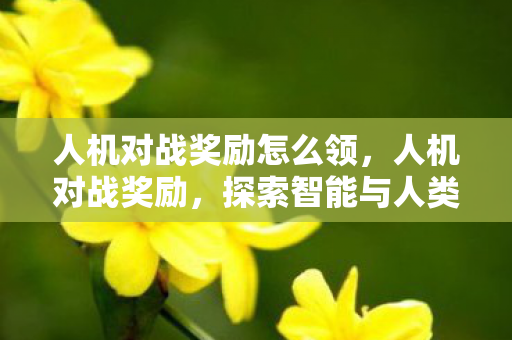 人机对战奖励怎么领,人机对战奖励,探索智能与人类的博弈 人机对战奖励怎么领,人机对战奖励,探索智能与人类的博弈