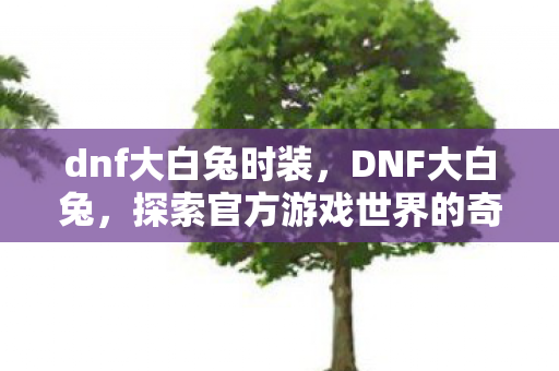dnf大白兔时装,DNF大白兔,探索官方游戏世界的奇妙之旅 dnf大白兔时装,DNF大白兔,探索官方游戏世界的奇妙之旅
