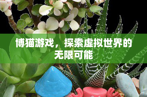博猫游戏,探索虚拟世界的无限可能 博猫游戏,探索虚拟世界的无限可能