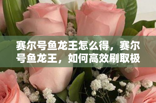赛尔号鱼龙王怎么得,赛尔号鱼龙王,如何高效刷取极品精灵 赛尔号鱼龙王怎么得,赛尔号鱼龙王,如何高效刷取极品精灵