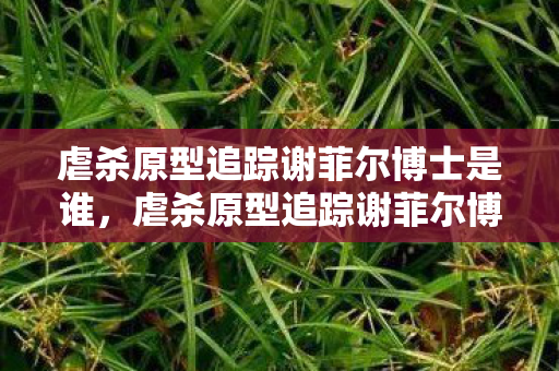 虐杀原型追踪谢菲尔博士是谁,虐杀原型追踪谢菲尔博士,一场科技与伦理的较量 虐杀原型追踪谢菲尔博士是谁,虐杀原型追踪谢菲尔博士,一场科技与伦理的较量