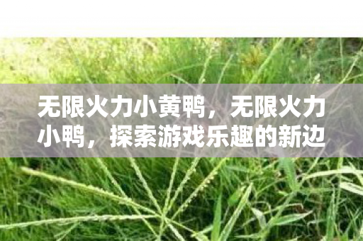 无限火力小黄鸭，无限火力小鸭，探索游戏乐趣的新边界