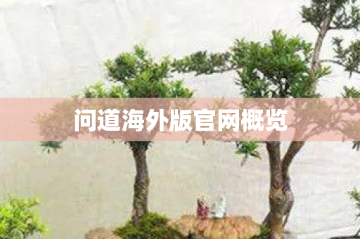 问道海外版官网概览 问道海外版官网概览