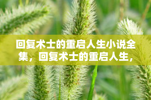 回复术士的重启人生小说全集,回复术士的重启人生,重启之旅的奥秘 回复术士的重启人生小说全集,回复术士的重启人生,重启之旅的奥秘