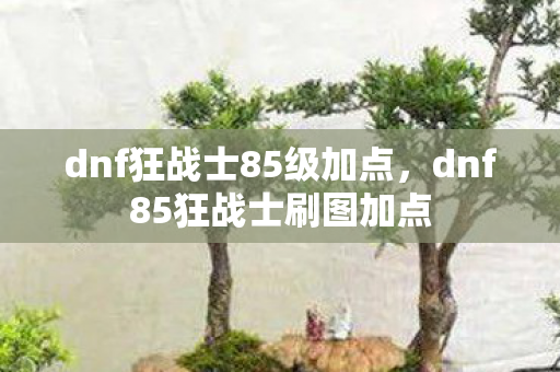 dnf狂战士85级加点，dnf85狂战士刷图加点