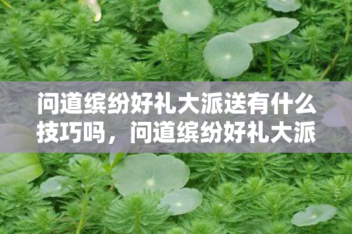 问道缤纷好礼大派送有什么技巧吗,问道缤纷好礼大派送 问道缤纷好礼大派送有什么技巧吗,问道缤纷好礼大派送