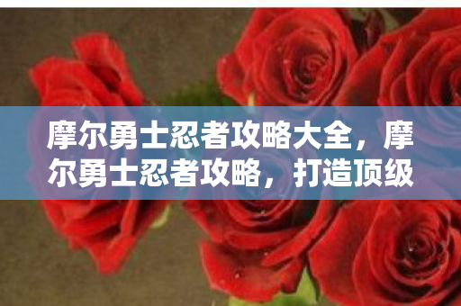 摩尔勇士忍者攻略大全,摩尔勇士忍者攻略,打造顶级忍者的全面指南 摩尔勇士忍者攻略大全,摩尔勇士忍者攻略,打造顶级忍者的全面指南