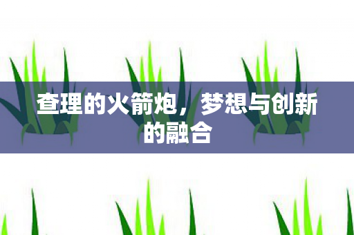 查理的火箭炮，梦想与创新的融合
