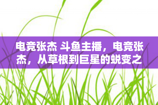 电竞张杰 斗鱼主播,电竞张杰,从草根到巨星的蜕变之路 电竞张杰 斗鱼主播,电竞张杰,从草根到巨星的蜕变之路