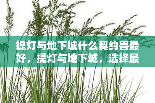 提灯与地下城什么契约兽最好,提灯与地下城,选择最佳契约兽的策略指南 提灯与地下城什么契约兽最好,提灯与地下城,选择最佳契约兽的策略指南