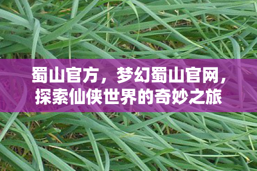 蜀山官方,梦幻蜀山官网,探索仙侠世界的奇妙之旅 蜀山官方,梦幻蜀山官网,探索仙侠世界的奇妙之旅