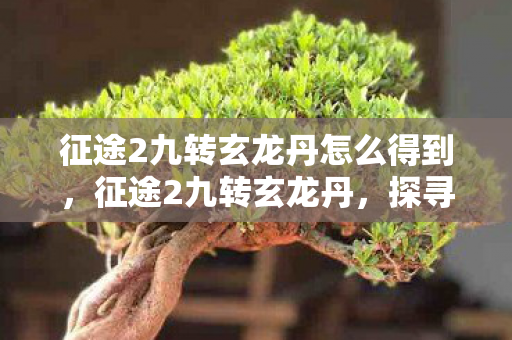 征途2九转玄龙丹怎么得到,征途2九转玄龙丹,探寻游戏中的神秘丹药 征途2九转玄龙丹怎么得到,征途2九转玄龙丹,探寻游戏中的神秘丹药