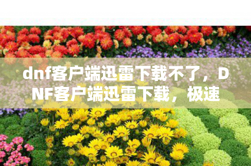 dnf客户端迅雷下载不了,DNF客户端迅雷下载,极速体验与官方渠道的优选 dnf客户端迅雷下载不了,DNF客户端迅雷下载,极速体验与官方渠道的优选
