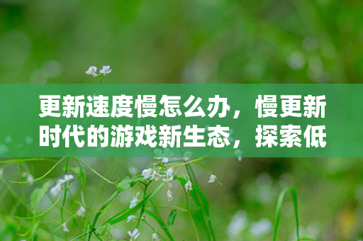 更新速度慢怎么办,慢更新时代的游戏新生态,探索低频率更新背后的奥秘 更新速度慢怎么办,慢更新时代的游戏新生态,探索低频率更新背后的奥秘