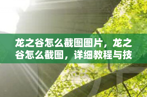 龙之谷怎么截图图片,龙之谷怎么截图,详细教程与技巧分享 龙之谷怎么截图图片,龙之谷怎么截图,详细教程与技巧分享