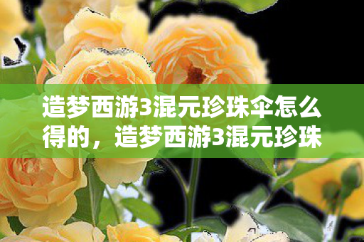 造梦西游3混元珍珠伞怎么得的,造梦西游3混元珍珠伞怎么得 造梦西游3混元珍珠伞怎么得的,造梦西游3混元珍珠伞怎么得