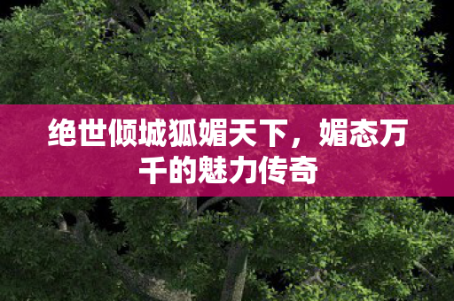 绝世倾城狐媚天下,媚态万千的魅力传奇 绝世倾城狐媚天下,媚态万千的魅力传奇