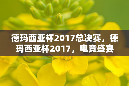 德玛西亚杯2017总决赛,德玛西亚杯2017,电竞盛宴的回顾与前瞻 德玛西亚杯2017总决赛,德玛西亚杯2017,电竞盛宴的回顾与前瞻