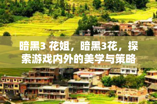 暗黑3 花姐，暗黑3花，探索游戏内外的美学与策略