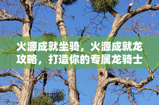 火源成就坐骑,火源成就龙攻略,打造你的专属龙骑士 火源成就坐骑,火源成就龙攻略,打造你的专属龙骑士