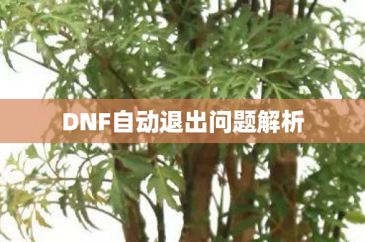 DNF自动退出问题解析 DNF自动退出问题解析
