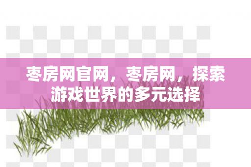 枣房网官网,枣房网,探索游戏世界的多元选择 枣房网官网,枣房网,探索游戏世界的多元选择