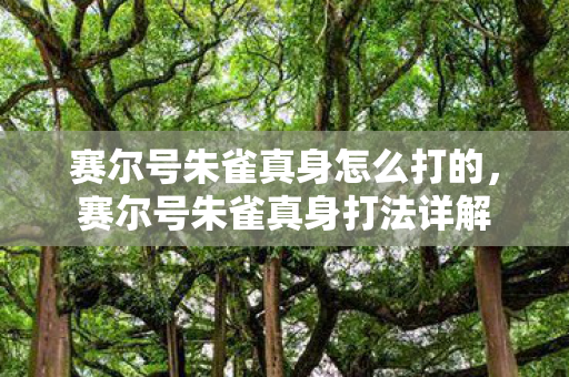 赛尔号朱雀真身怎么打的，赛尔号朱雀真身打法详解