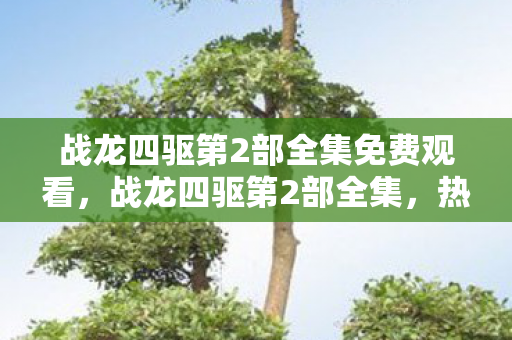 战龙四驱第2部全集免费观看,战龙四驱第2部全集,热血与梦想的再次启程 战龙四驱第2部全集免费观看,战龙四驱第2部全集,热血与梦想的再次启程
