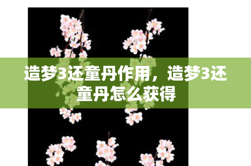 造梦3还童丹作用,造梦3还童丹怎么获得 造梦3还童丹作用,造梦3还童丹怎么获得