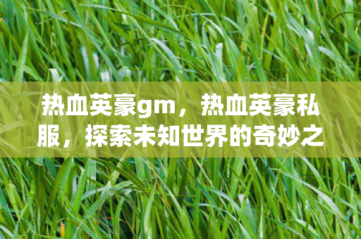 热血英豪gm,热血英豪私服,探索未知世界的奇妙之旅 热血英豪gm,热血英豪私服,探索未知世界的奇妙之旅
