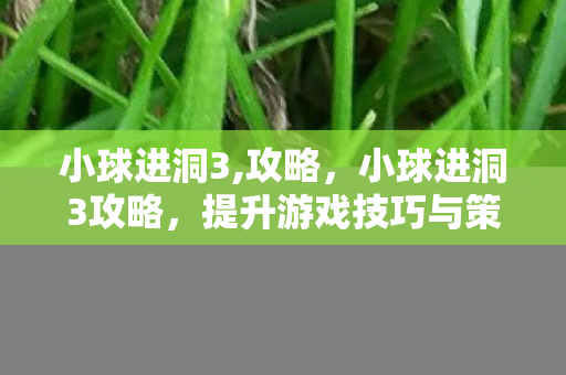 小球进洞3,攻略，小球进洞3攻略，提升游戏技巧与策略