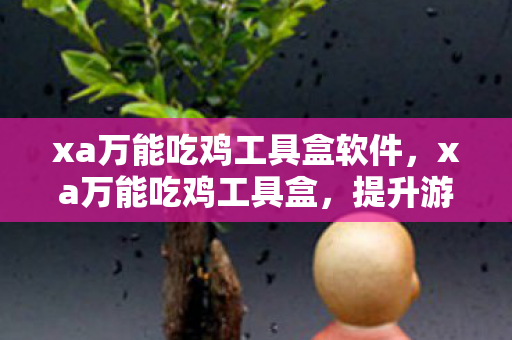 xa万能吃鸡工具盒软件,xa万能吃鸡工具盒,提升游戏体验的神奇工具 xa万能吃鸡工具盒软件,xa万能吃鸡工具盒,提升游戏体验的神奇工具