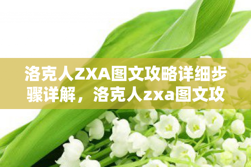 洛克人ZXA图文攻略详细步骤详解,洛克人zxa图文攻略 洛克人ZXA图文攻略详细步骤详解,洛克人zxa图文攻略
