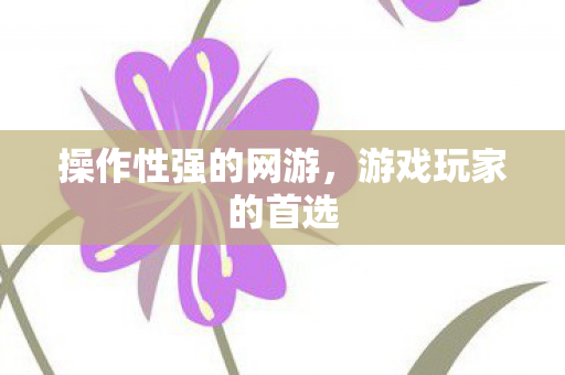 操作性强的网游，游戏玩家的首选