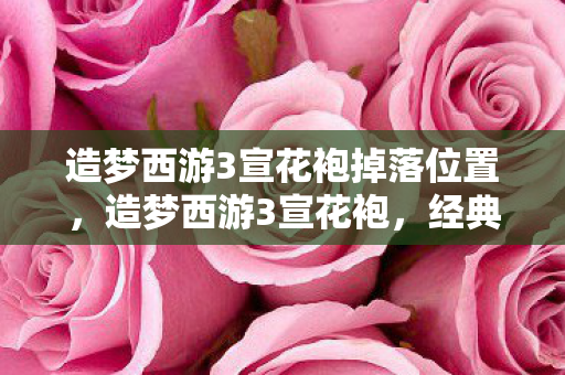 造梦西游3宣花袍掉落位置，造梦西游3宣花袍，经典再现，情怀不灭