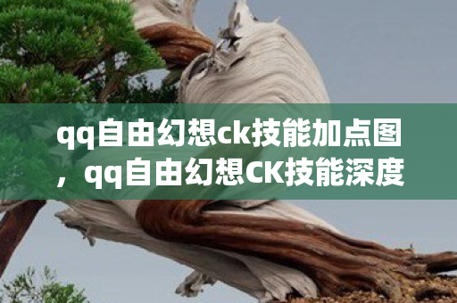 qq自由幻想ck技能加点图,qq自由幻想CK技能深度解析,掌握战斗节奏的关键 qq自由幻想ck技能加点图,qq自由幻想CK技能深度解析,掌握战斗节奏的关键
